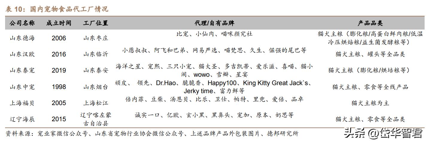 寵物上市公司，愛(ài)的力量引領(lǐng)行業(yè)，溫暖人心之旅