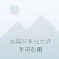 藍(lán)航資訊大揭秘，掌握前沿信息，洞悉行業(yè)動(dòng)態(tài)動(dòng)態(tài)速遞！