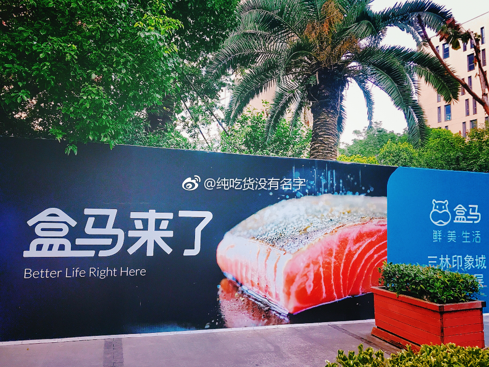 盒馬駕到新發(fā)現(xiàn)，小巷特色小店揭秘