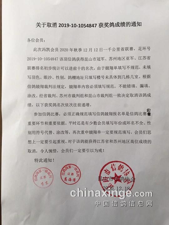 章丘信鴿協(xié)會(huì)最新公告，飛翔的溫情，友情的紐帶