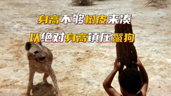 鬣狗電影，友情與陪伴的溫馨之旅