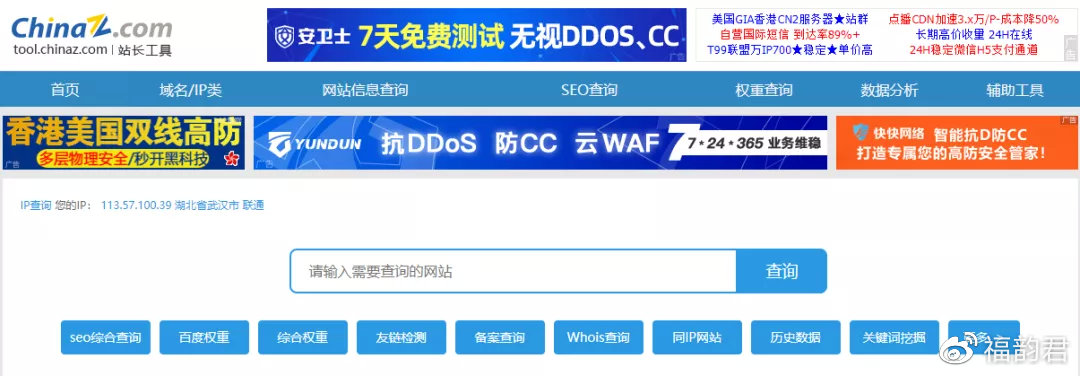 最新域名永久發(fā)布，觀點(diǎn)闡述與深度探討