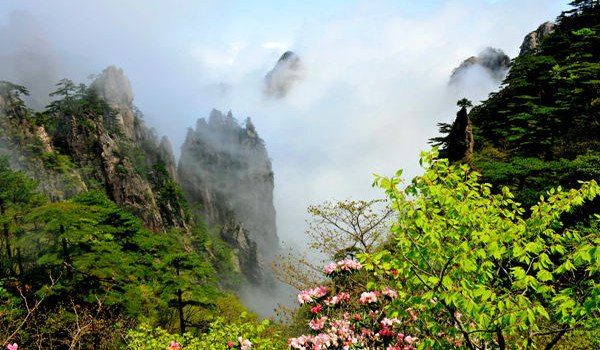 黃山門票最新動態(tài)，攀登知識高峰的自信之旅，成就感的奇妙旅程