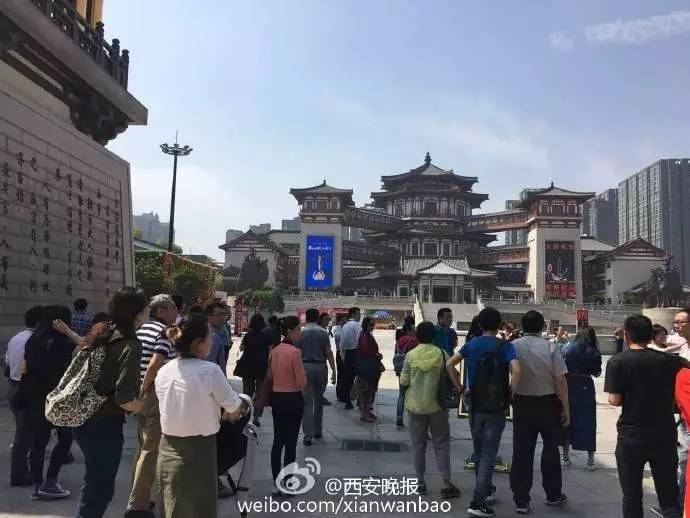 大唐西市最新動態(tài)，自然美景探尋之旅