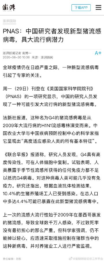 新型豬流感情動態(tài)更新，最新消息匯總