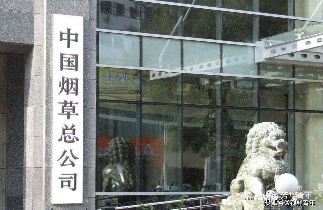 煙草王志富的最新動態(tài)，自信與成就感的勵志之旅更新中