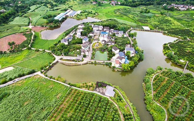 墊江白家最新動(dòng)態(tài)更新，最新消息匯總
