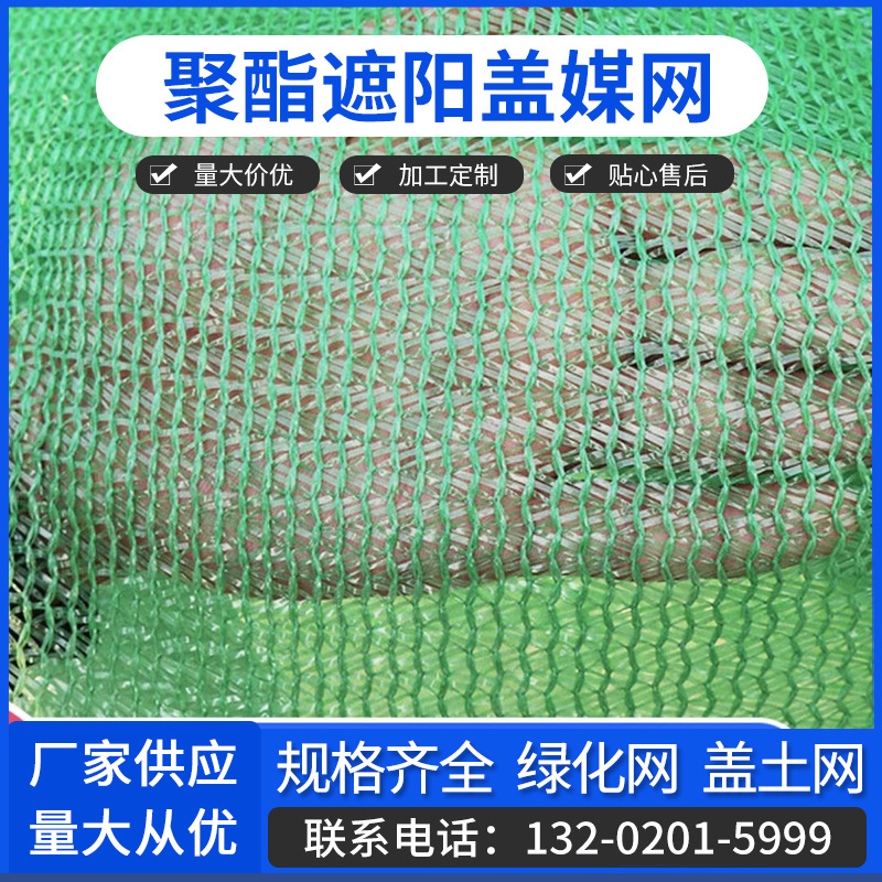 蓋網(wǎng)最新動態(tài)揭秘，一場溫馨的冒險之旅