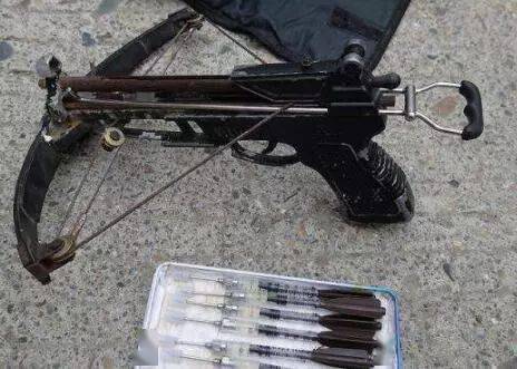 時代背景下的寵物管理利器，最新款麻醉打狗槍圖片曝光