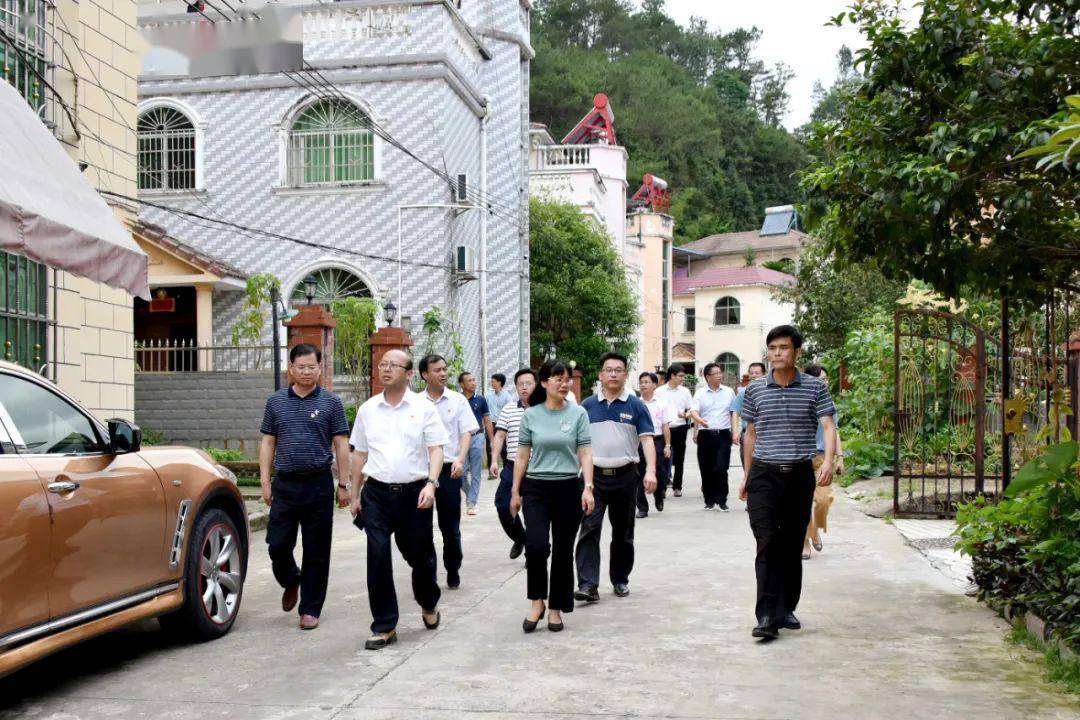 定南徐美清最新動(dòng)態(tài)，自然美景探索之旅，尋找內(nèi)心平和與喜悅的旅程