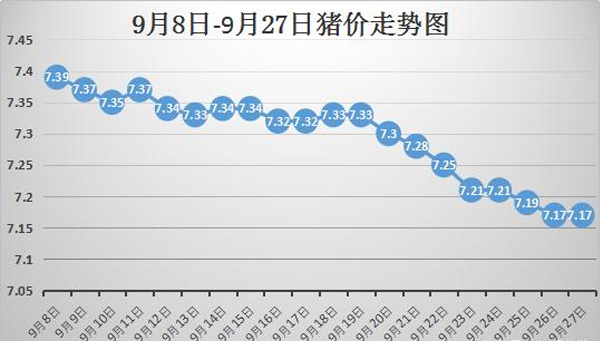 甘肅豬價最新動態(tài)，興旺豬事，溫暖人心