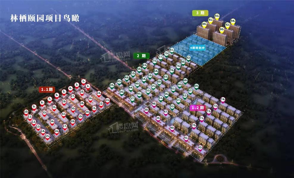 永清森林家園最新動態(tài)揭秘，森林中的日常趣事一網(wǎng)打盡！