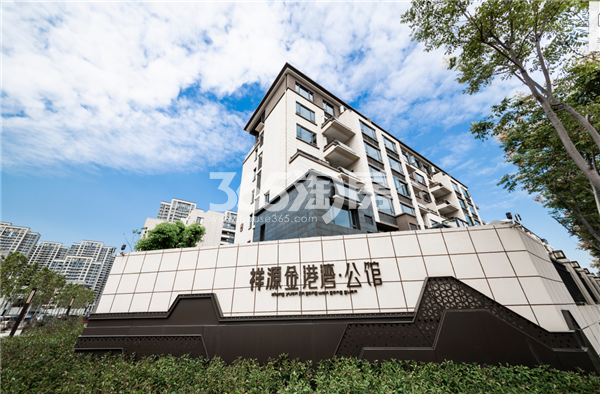 祥源金港灣最新動態(tài)，啟航新征程，成就夢想之地